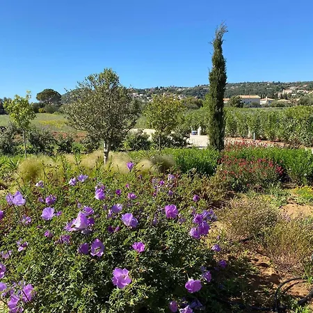 Avgi Luxury Villa Σβορωνάτα